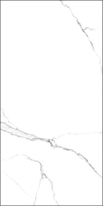 GT120600203MR Плитка грес глаз. Marmo_GT Белый 60*120 _ 1 \43,2 GT120600203MR Плитка грес глаз. Marmo_GT Белый 60*120 _ 1 \43,2