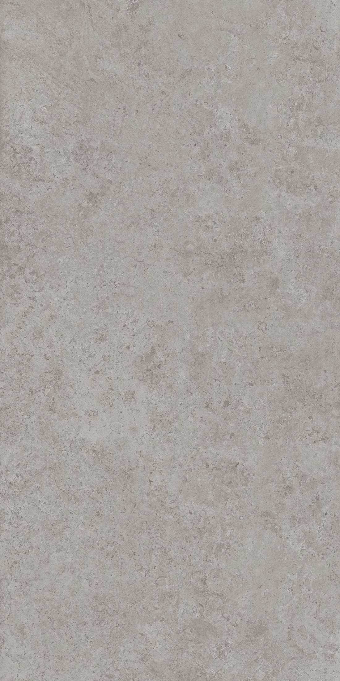 Керамогранит DD590600R Про лаймстоун АТ серый (238,5см*119,5см*11мм) (15шт/42,751м2) камень, м2 Керамогранит DD590600R Про лаймстоун АТ серый (238,5см*119,5см*11мм) (15шт/42,751м2) камень, м2