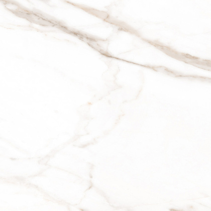 Calacatta goddes gold Керамогранит белый Полированный 60x60