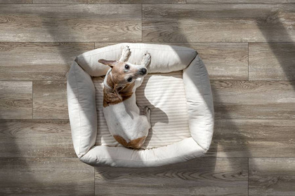 GT208022015MСR Керамогранит Bremen_GT Серо-беж. 19,8x80 _ 1\57,024