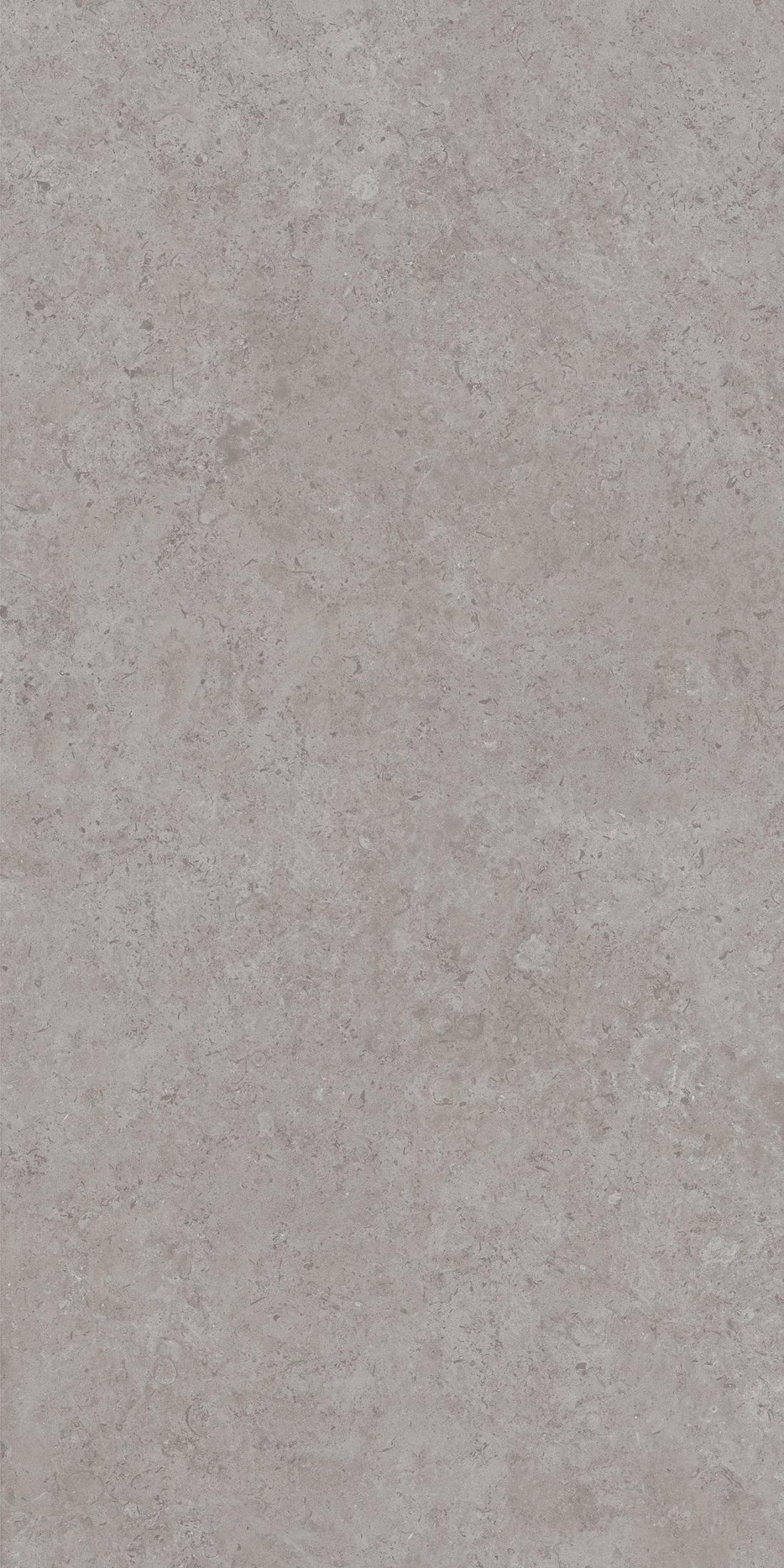 Керамогранит DD590600R Про лаймстоун АТ серый (238,5см*119,5см*11мм) (15шт/42,751м2) камень, м2 Керамогранит DD590600R Про лаймстоун АТ серый (238,5см*119,5см*11мм) (15шт/42,751м2) камень, м2