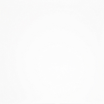 Керамогранит G-100/MR/600x600x9 Моноколор GRASARO 60х60