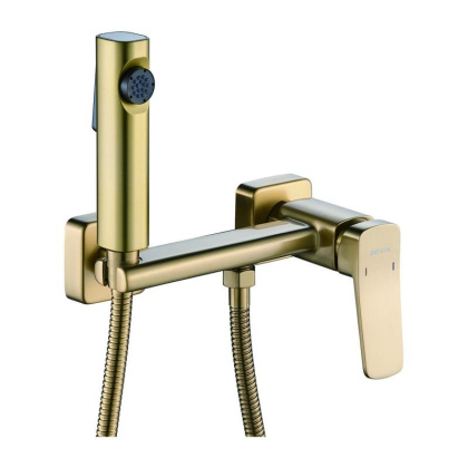 Смеситель с гигиеническим душем Shevanik S99G S9905G-1