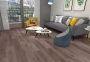 Кварц-винил ламинат SPC Aspenfloor Premium Wood XL PW4-08 Дуб Нормандия 4V (5,5мм//2,782м2) (1 220мм*228мм), м2