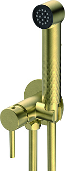 Смеситель Splenka встраиваемый с гигиеническим душем S99.52.03