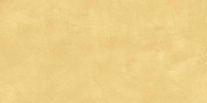 SR04 60x120х10 Непол.Рект. (Керамический гранит)