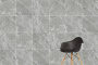 Керамогранит K950299R0001VTER SilkMarble Порто Неро (120см*60см*8мм) (2шт/1,44м2), м2