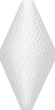 Мозаика TR-1023 керамика матовая (100*200) 