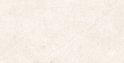MA00 60x120х10 Непол.Рект. (Керамический гранит)