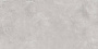 Pluto Silver Керамогранит светло-серый SG50005220R 60х119,5 матовый