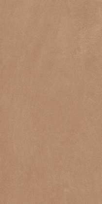 Керамогранит Anti-Slip Argillae Gobi Rect 30х60