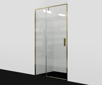 Aisch 55P05 Душевая дверь Wasserkraft