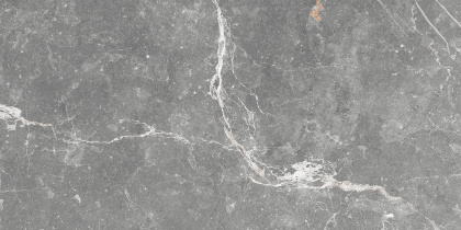 GT99VG Плитка облиц. Capella GT Сер. 50*25 _ 1 \74,25