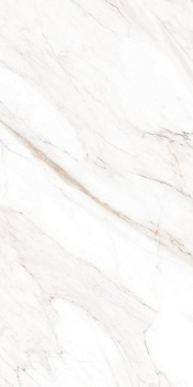 Керамогранит Calacatta Gold Polished 60х120 Керамогранит Calacatta Gold Polished 60х120