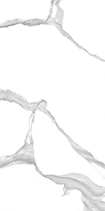 PGT 2196 Плитка грес глаз. Anima NB_GT Бел. 60*120 Полир._ 1 \40,32 PGT 2196 Плитка грес глаз. Anima NB_GT Бел. 60*120 Полир._ 1 \40,32