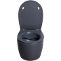 Чаша подвесного унитаза Allen Brau Fantasy 4.11004.AN антрацит Чаша подвесного унитаза Allen Brau Fantasy 4.11004.AN антрацит