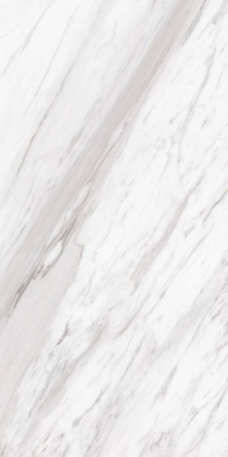 Керамогранит CRV-3145 carving 60х120 Керамогранит CRV-3145 carving 60х120