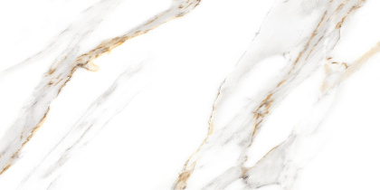 GT97VG Плитка облиц. Capella GT Бел. 50*25 _ 1 \74,25