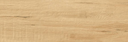 Керамогранит G-81/MR/200x600x8 GRASARO 20х60