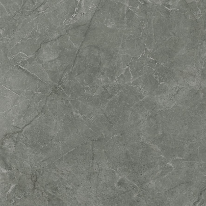Pluto Grigio Керамогранит серый SG625920R 60х60 матовый