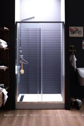 Душевая дверь Aquanet Alfa NAA6121 120, прозрачное стекло
