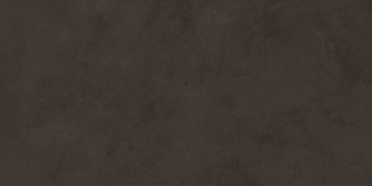 Evolution marron Плитка настенная 48036R 40x80 матовый обрезной