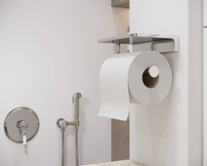 Бумагодержатель с полкой для телефона Timo Selene 10040/00 хром