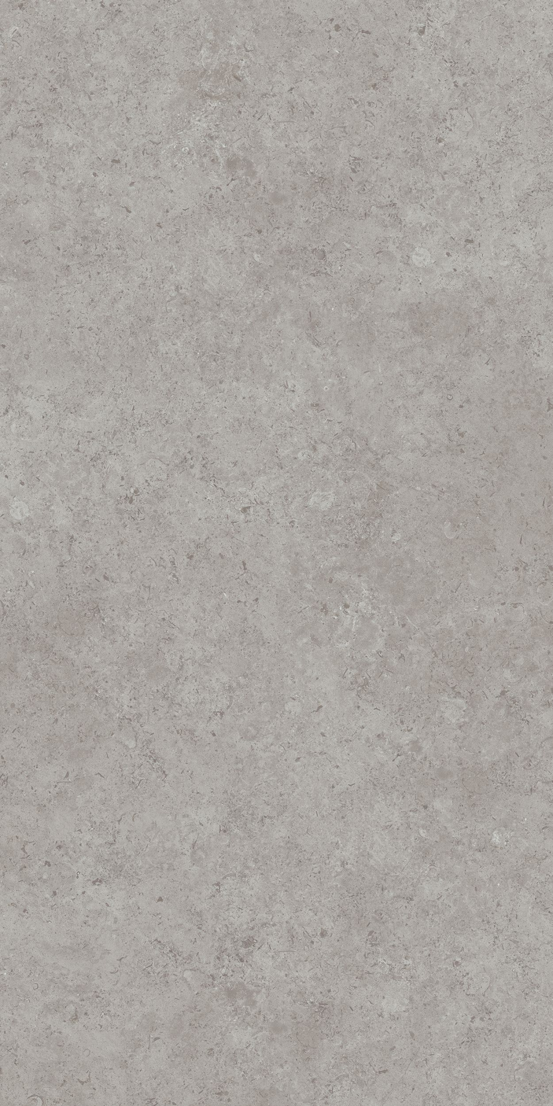 Керамогранит DD590600R Про лаймстоун АТ серый (238,5см*119,5см*11мм) (15шт/42,751м2) камень, м2 Керамогранит DD590600R Про лаймстоун АТ серый (238,5см*119,5см*11мм) (15шт/42,751м2) камень, м2