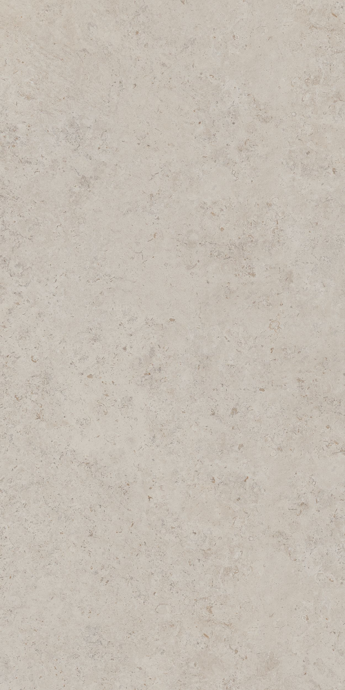 Керамогранит DD590400R Про лаймстоун АТ бежевый (238,5см*119,5см*11мм) (15шт/42,751м2) камень, м2 Керамогранит DD590400R Про лаймстоун АТ бежевый (238,5см*119,5см*11мм) (15шт/42,751м2) камень, м2