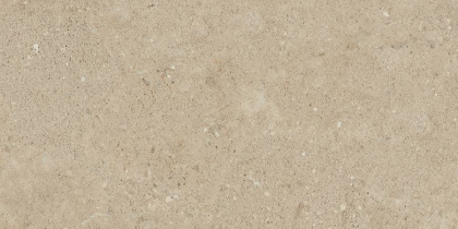 Керамогранит NP02 30,6x60,9x8 Непол.