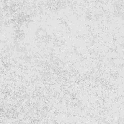 Stone-X Керамогранит Белый Матовый K949779R0001VTE0 60х60