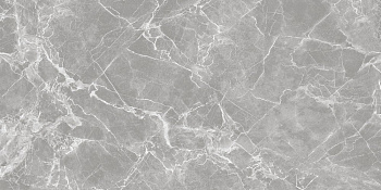 PGT 2198 Плитка грес глаз. Solo NB_GT Сер. 60*120 Полир._ 1 \40,32 PGT 2198 Плитка грес глаз. Solo NB_GT Сер. 60*120 Полир._ 1 \40,32