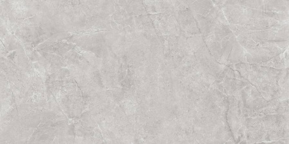Pluto Silver Керамогранит светло-серый SG50005220R 60х119,5 матовый Pluto Silver Керамогранит светло-серый SG50005220R 60х119,5 матовый